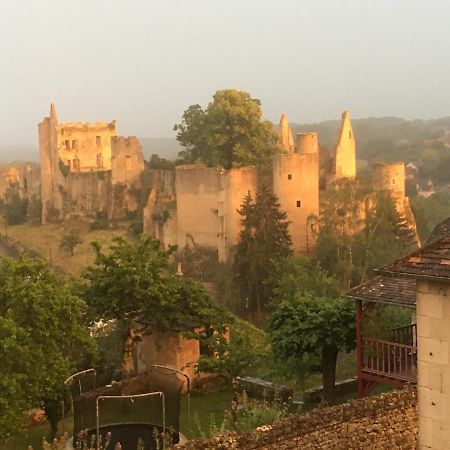 Chez Fred Avec Vue Sur Le Chateau Angles-sur-lʼAnglin Exteriér fotografie