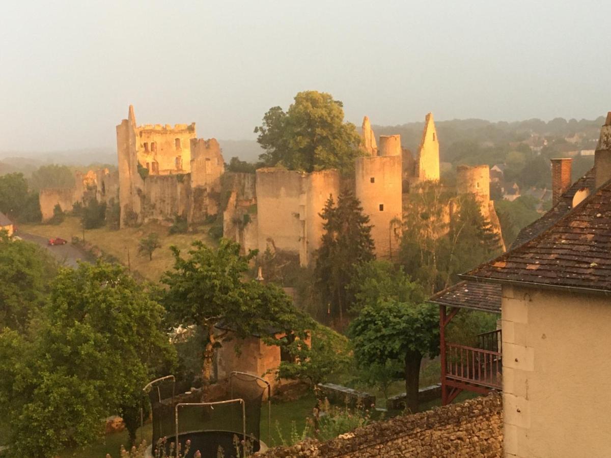 Chez Fred Avec Vue Sur Le Chateau Angles-sur-lʼAnglin Exteriér fotografie