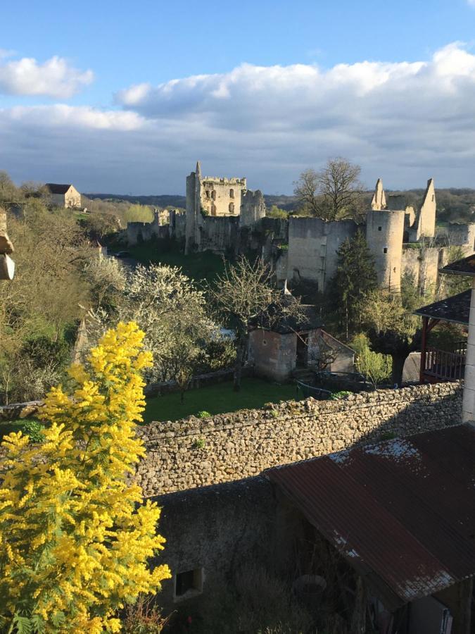 Chez Fred Avec Vue Sur Le Chateau Angles-sur-lʼAnglin Exteriér fotografie
